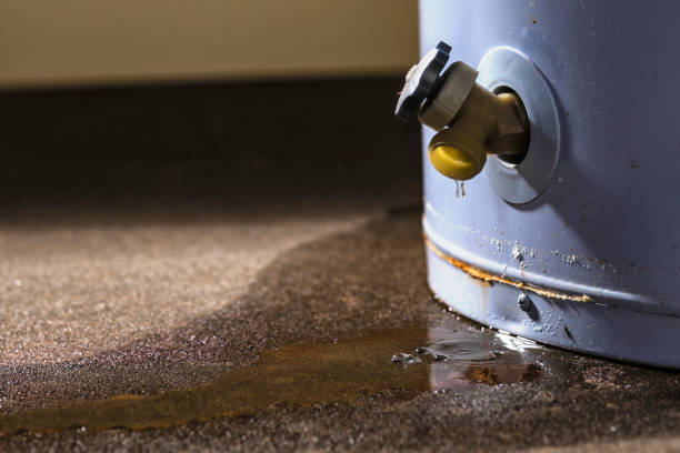 Best Water damage restoration near me  in Port Carbon, PA