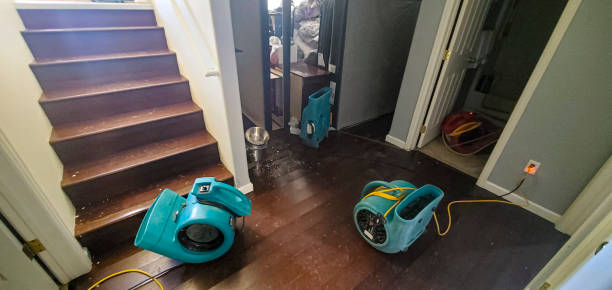  Port Carbon, PA Water damage restoration Pros