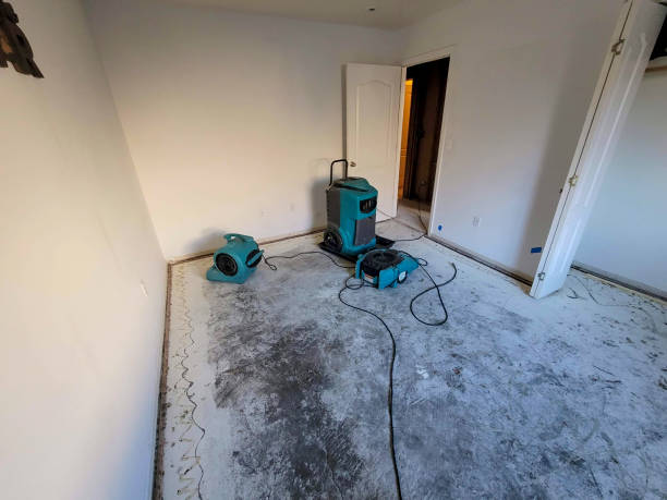 Best Residential water damage restoration  in Port Carbon, PA
