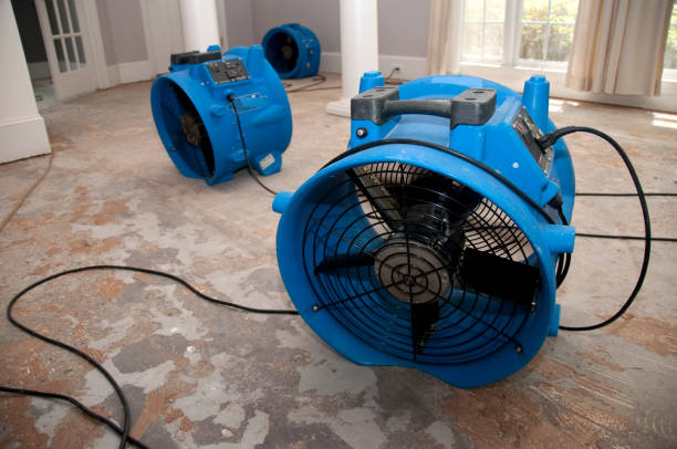 Best Emergency water damage restoration  in Port Carbon, PA