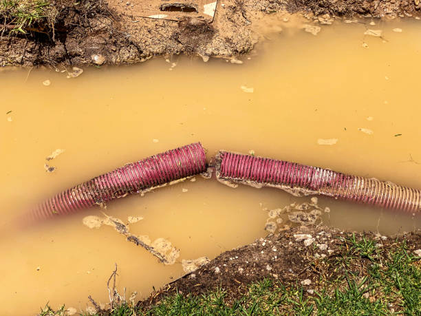 Best 24-hour water damage restoration  in Port Carbon, PA